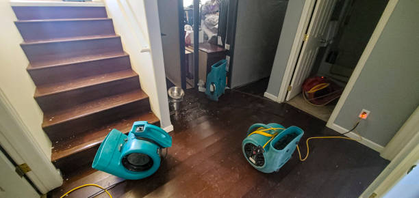 Best Water damage restoration near me  in Bethany, IL