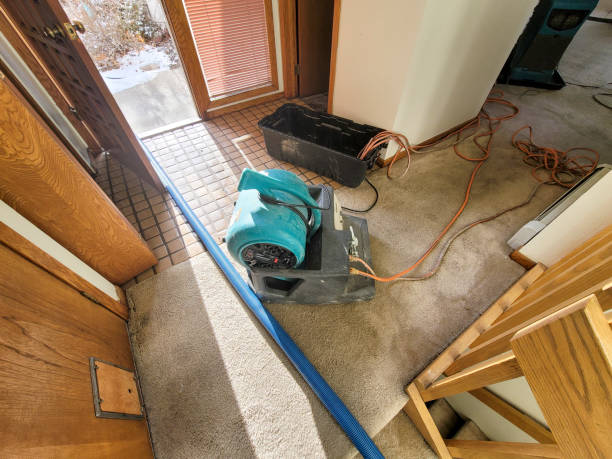 Best Water damage restoration near me  in Bethany, IL