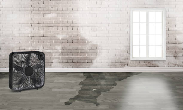 Best 24/7 water damage repair  in Bethany, IL