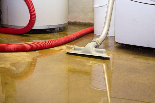 Best Water damage contractors near me  in Bethany, IL