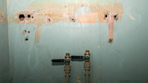 Best Mold removal after water damage  in Bethany, IL