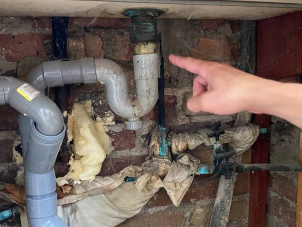 Carpet water damage restoration in IL
