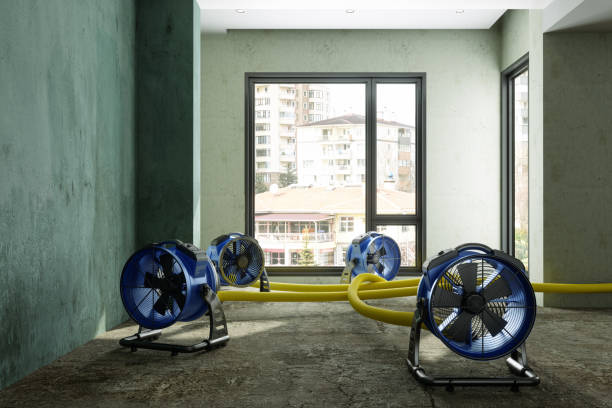 Best Carpet water damage restoration  in Bethany, IL